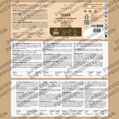 Чага екстракт 250mg - 366 таблетки |Bandini Pharma - Италия