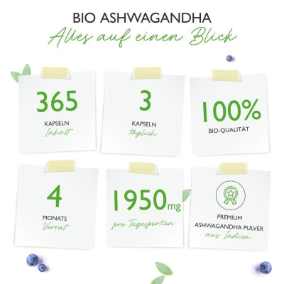 Био Ашваганда 650mg - 365 капсули | Vit4ever - Германия