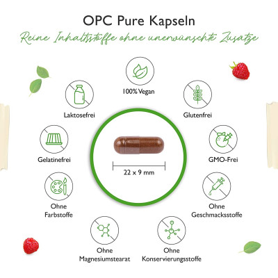 OPC - Екстракт от гроздови семки 500mg - 300 капсули | Vit4ever - Германия