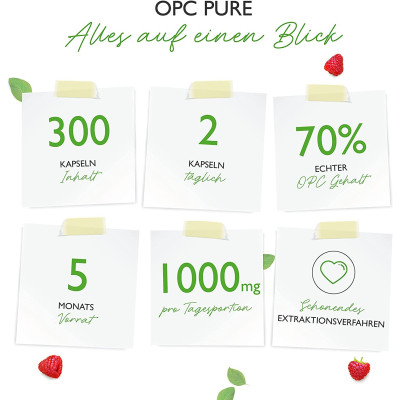 OPC - Екстракт от гроздови семки 500mg - 300 капсули | Vit4ever - Германия
