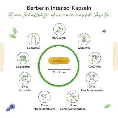 Берберин 500mg + Пеперин - 120 каспули | Vit4ever - Германия