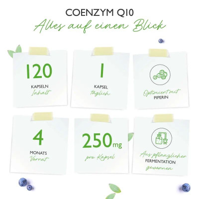 Coenzyme Q10 / Коензим Q10 250mg - 120 капсули | Vit4ever - Германия