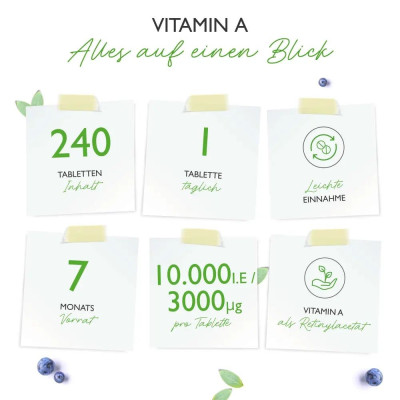 Витамин А 10,000 IU (3000mcg) - 365 таблетки | Vit4ever - Германия