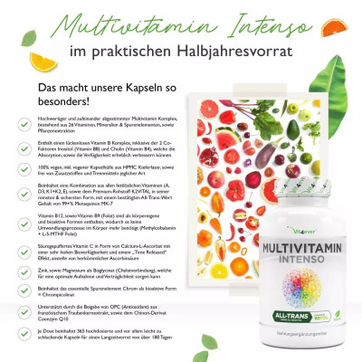 Мултивитамини Интенсо + Коензим Q10 - 365 капсули