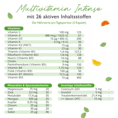 Мултивитамини Интенсо + Коензим Q10 - 365 капсули
