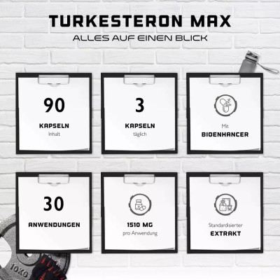 Turkesteron Max / Туркестерон Макс 503mg - 90 капсули | GEN - Германия