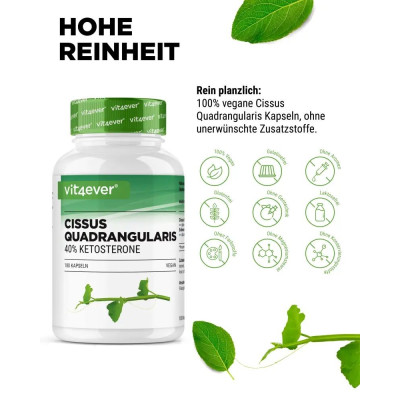 Цисус (Cissus quadrangularis) 700mg - 180 капсули | Vit4ever - Германия