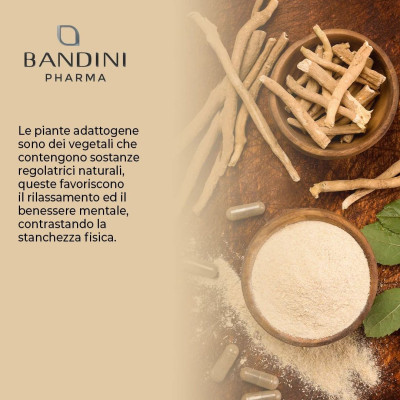 Ашваганда KSM-66® 500mg - 60 капсули | Bandini Pharma - Италия