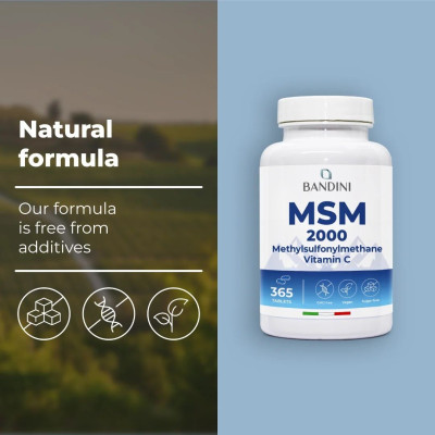 MSM 1000mg с витамин C - 365 таблетки | Bandini Pharma - Италия