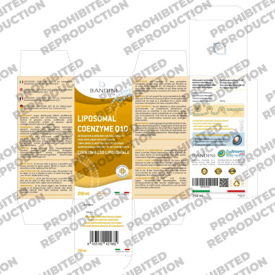 Липозомен коензим Q10 200mg - 250ml | Bandini Pharma - Италия