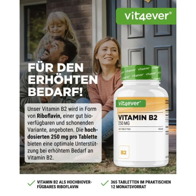 Витамин B2 - 250 мг - 365 таблетки | Vit4ever - Германия